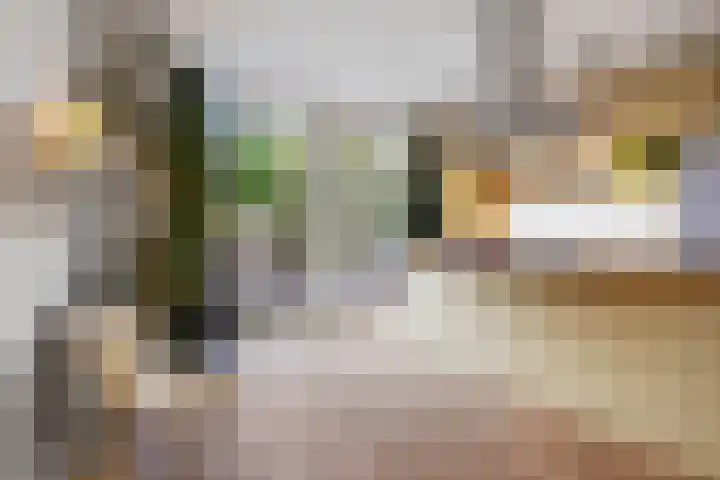 Vosmaerstraat 11 A Rotterdam thumbnail 4
