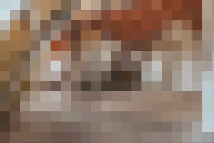 Vosmaerstraat 12 1 Amsterdam thumbnail 16