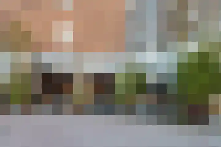 Vosmaerstraat 12 1 Amsterdam thumbnail 25