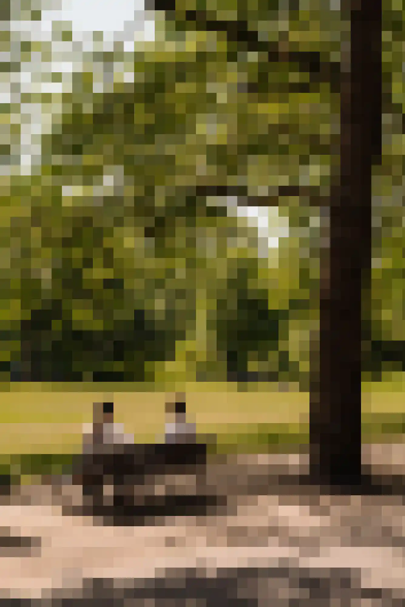Vosmaerstraat 12 3 Amsterdam thumbnail 36