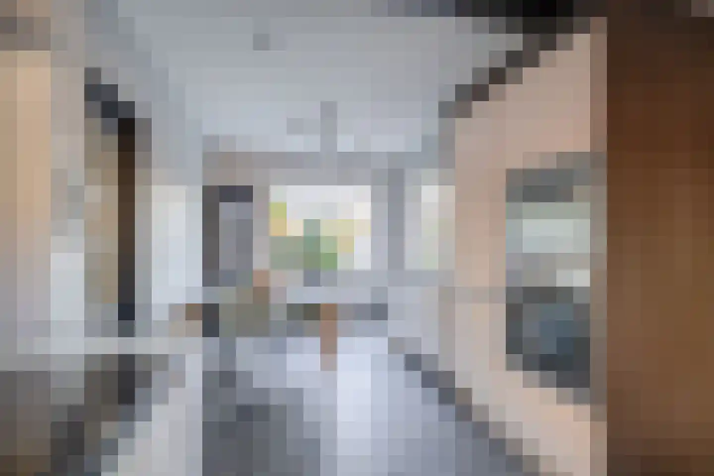Vosmaerstraat 14 Berkel en Rodenrijs thumbnail 22