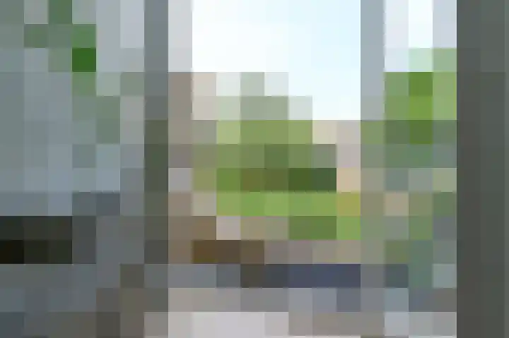 Vosmaerstraat 16 Haarlem thumbnail 5