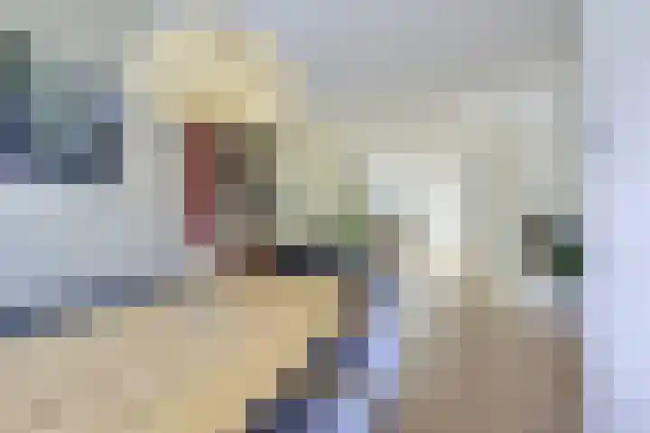 Vosmaerstraat 28 Utrecht thumbnail 13