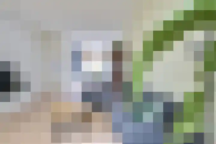 Vosmaerstraat 28 Utrecht thumbnail 17