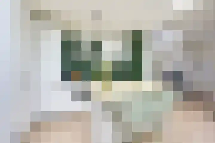 Vosmaerstraat 28 Utrecht thumbnail 21