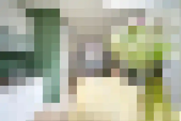 Vosmaerstraat 28 Utrecht thumbnail 24