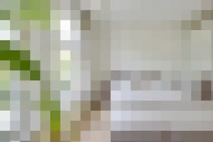 Vosmaerstraat 28 Utrecht thumbnail 33