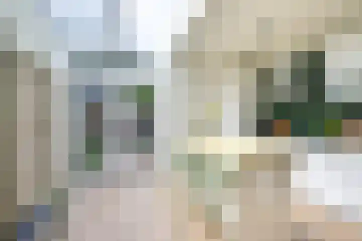Vosmaerstraat 28 Utrecht thumbnail 4