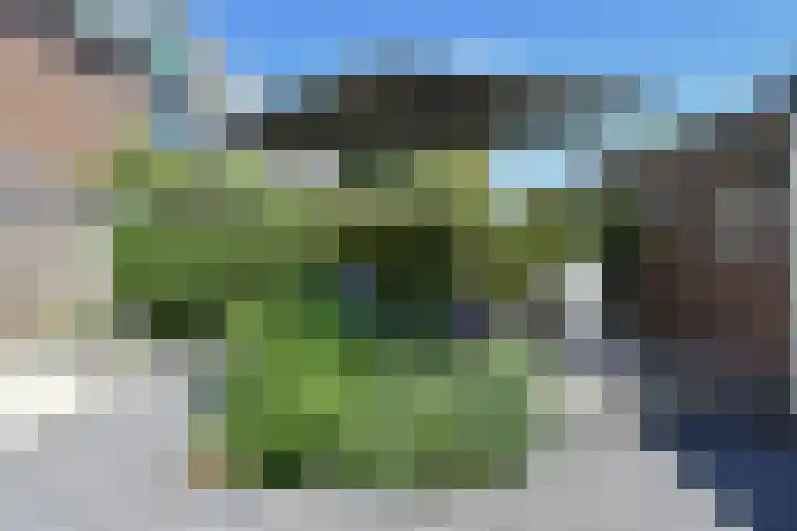 Vosmaerstraat 33 Berkel en Rodenrijs thumbnail 12