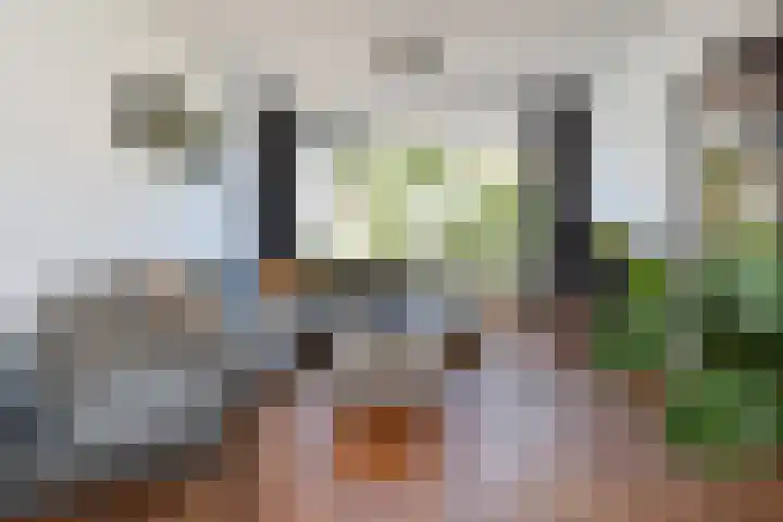 Vosmaerstraat 33 Berkel en Rodenrijs thumbnail 20