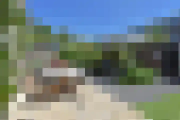 Vosmaerstraat 33 Berkel en Rodenrijs thumbnail 4