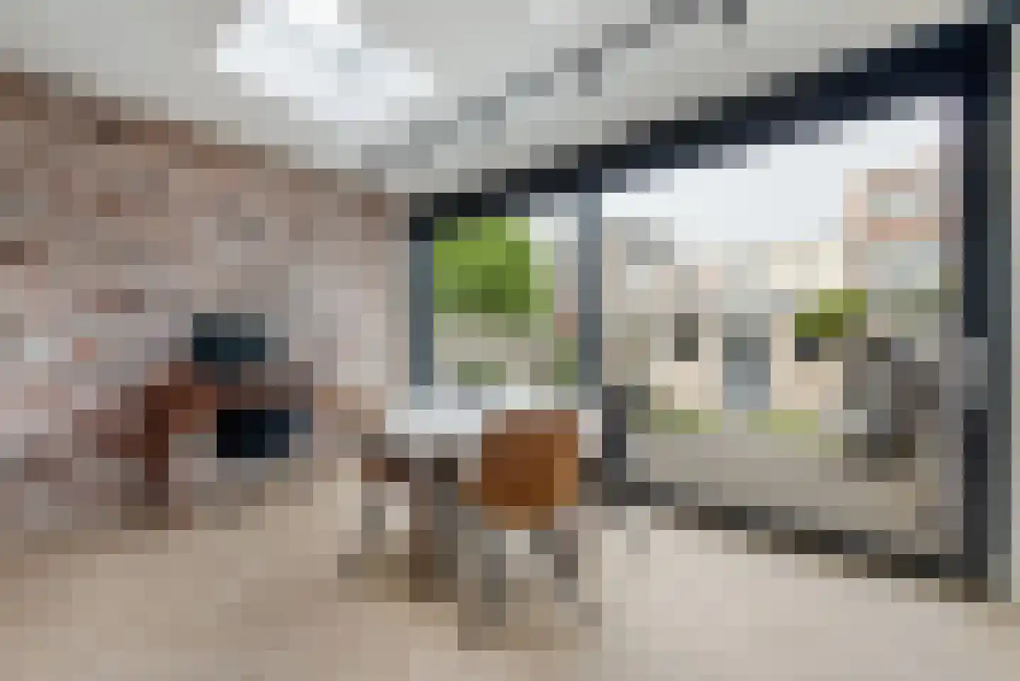 Vosmaerstraat 48 Haarlem thumbnail 11