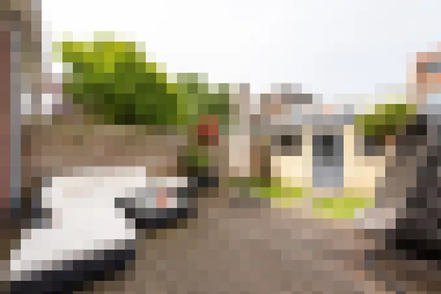 Vosmaerstraat 48 Haarlem thumbnail 19