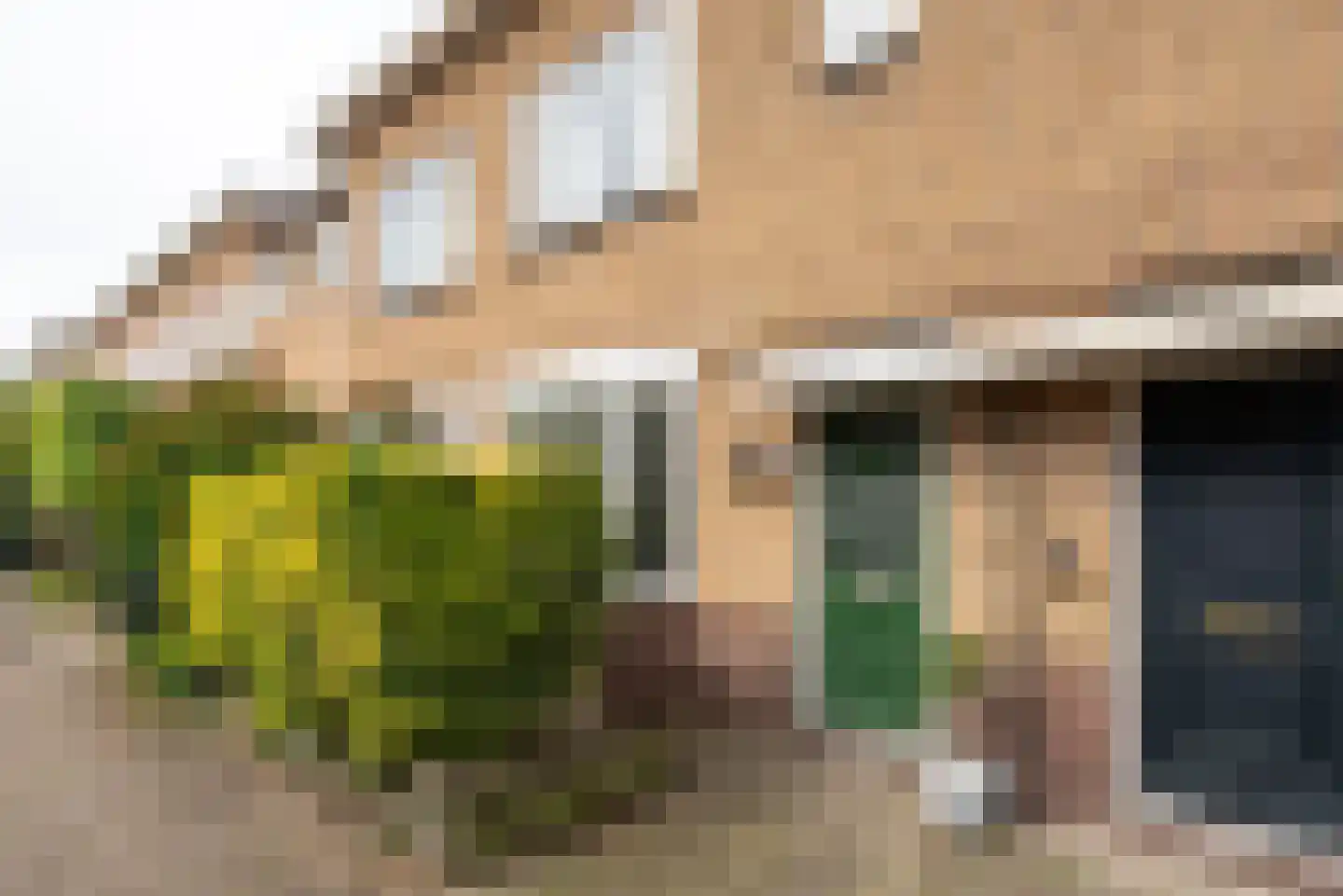 Vosmaerstraat 48 Haarlem thumbnail 22