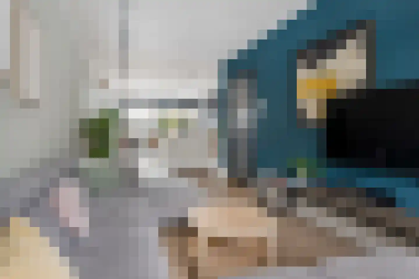 Vosmaerstraat 48 Haarlem thumbnail 4