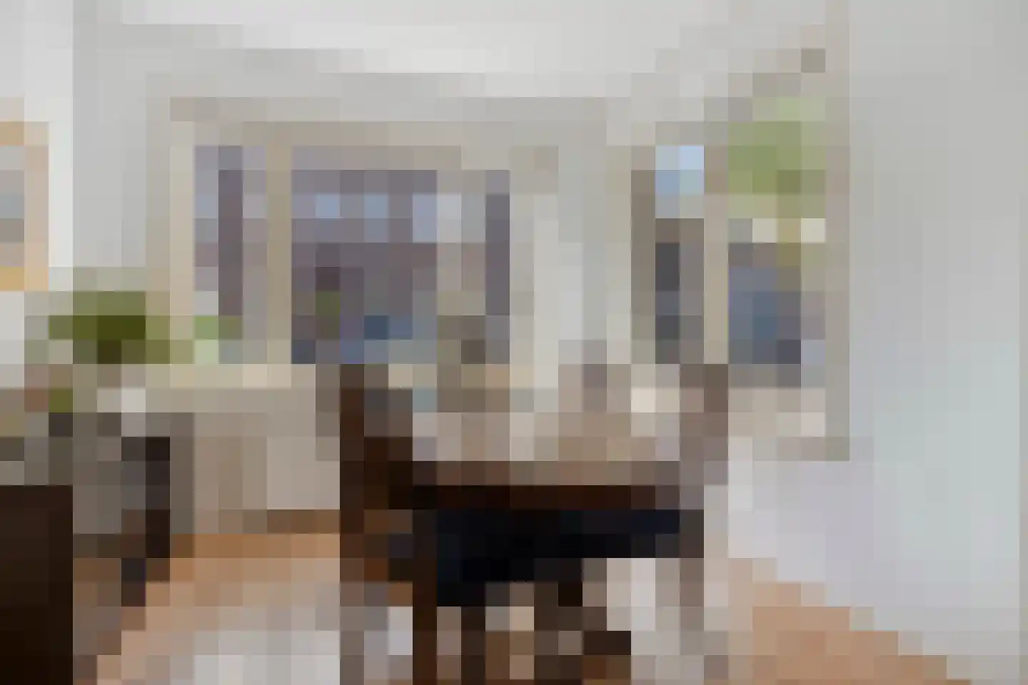 Vosmaerstraat 49 Haarlem thumbnail 13