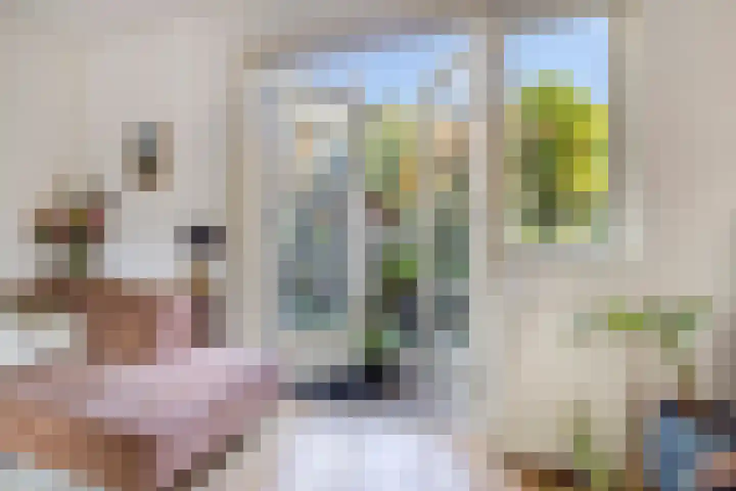 Vosmaerstraat 49 Haarlem thumbnail 20