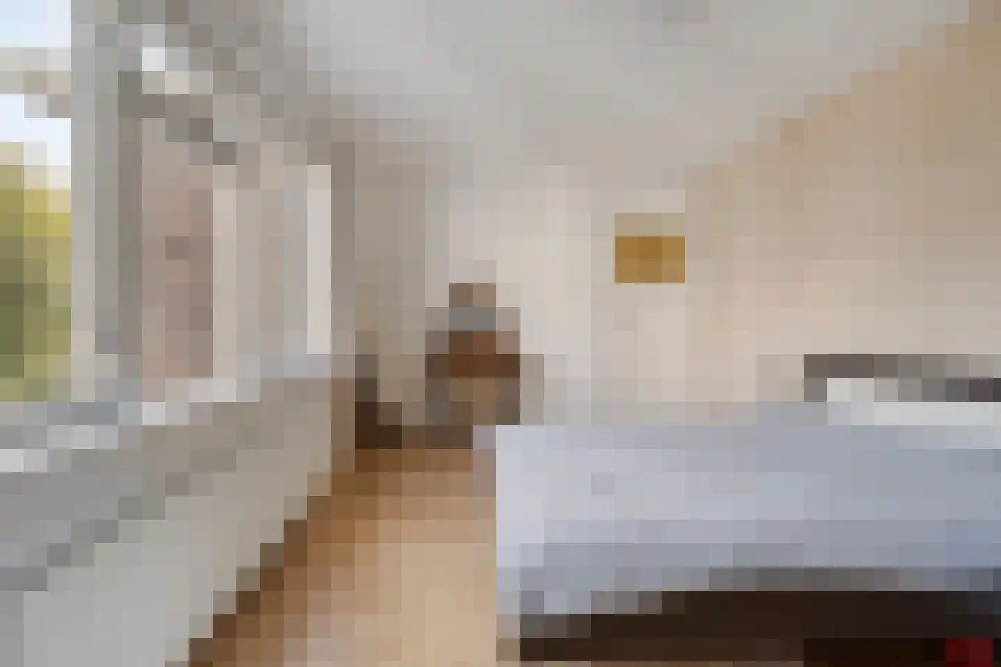 Vosmaerstraat 49 Haarlem thumbnail 26