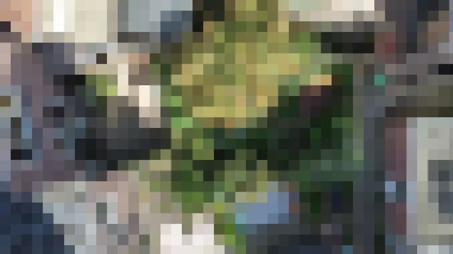 Vosmaerstraat 49 Haarlem thumbnail 35