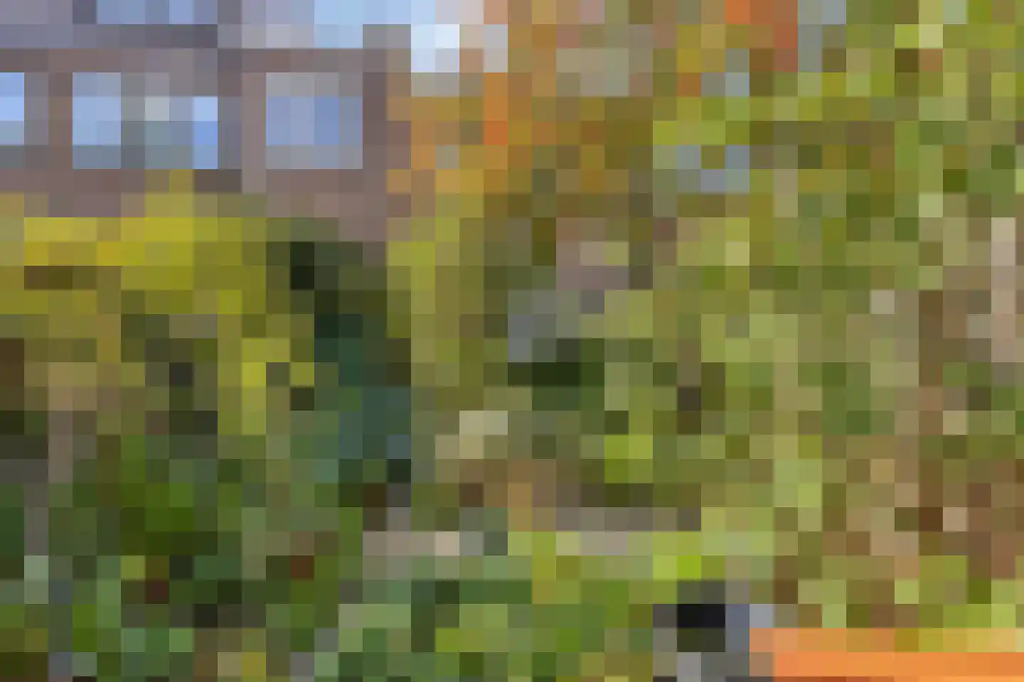 Vosmaerstraat 49 Haarlem thumbnail 38