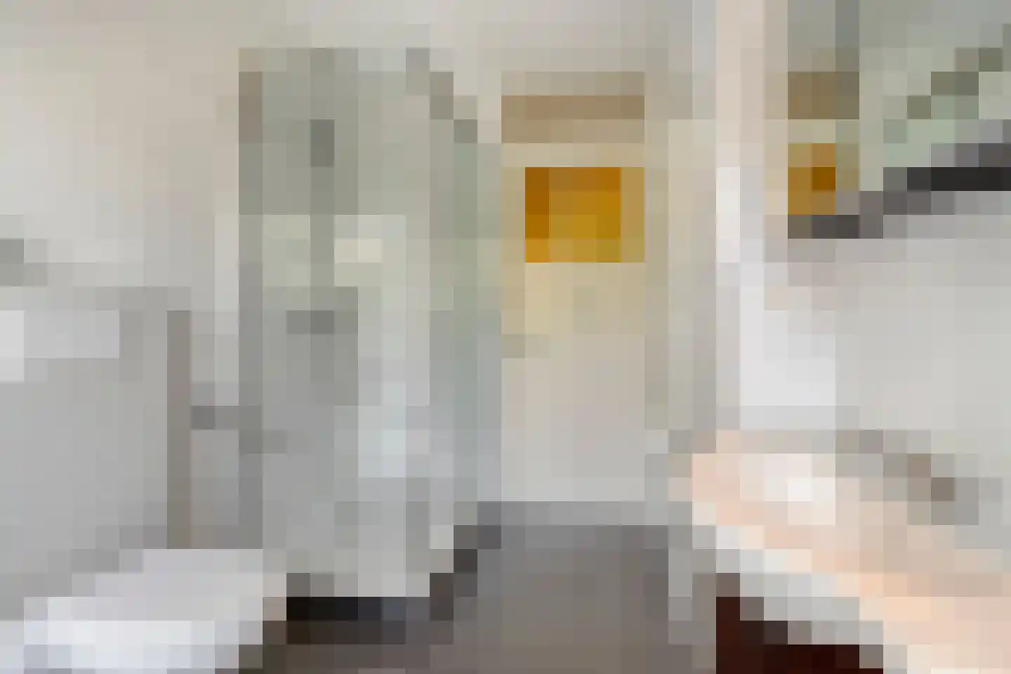 Vosmaerstraat 49 Haarlem thumbnail 5