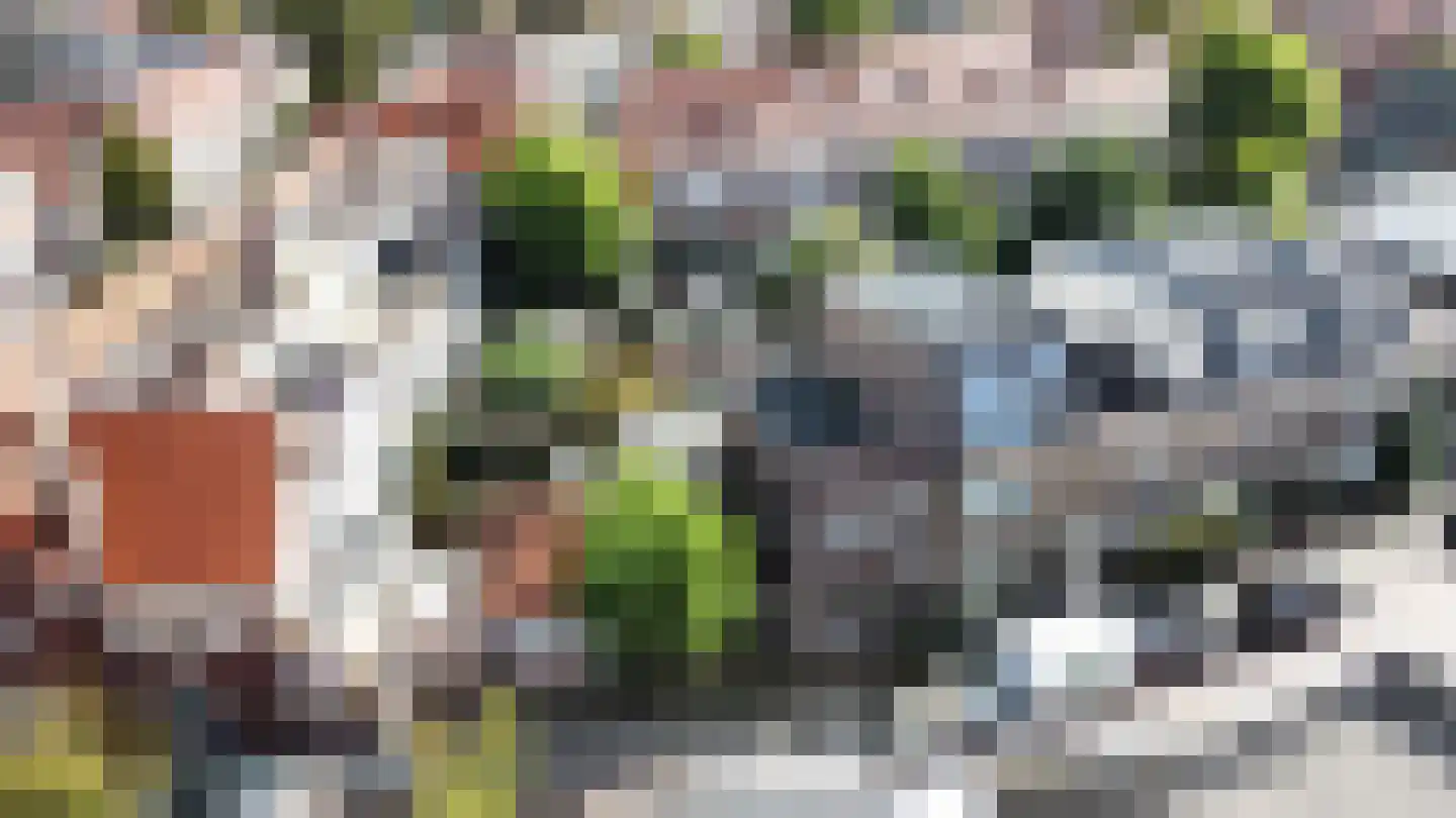 Vosmaerstraat 49 Haarlem thumbnail 6