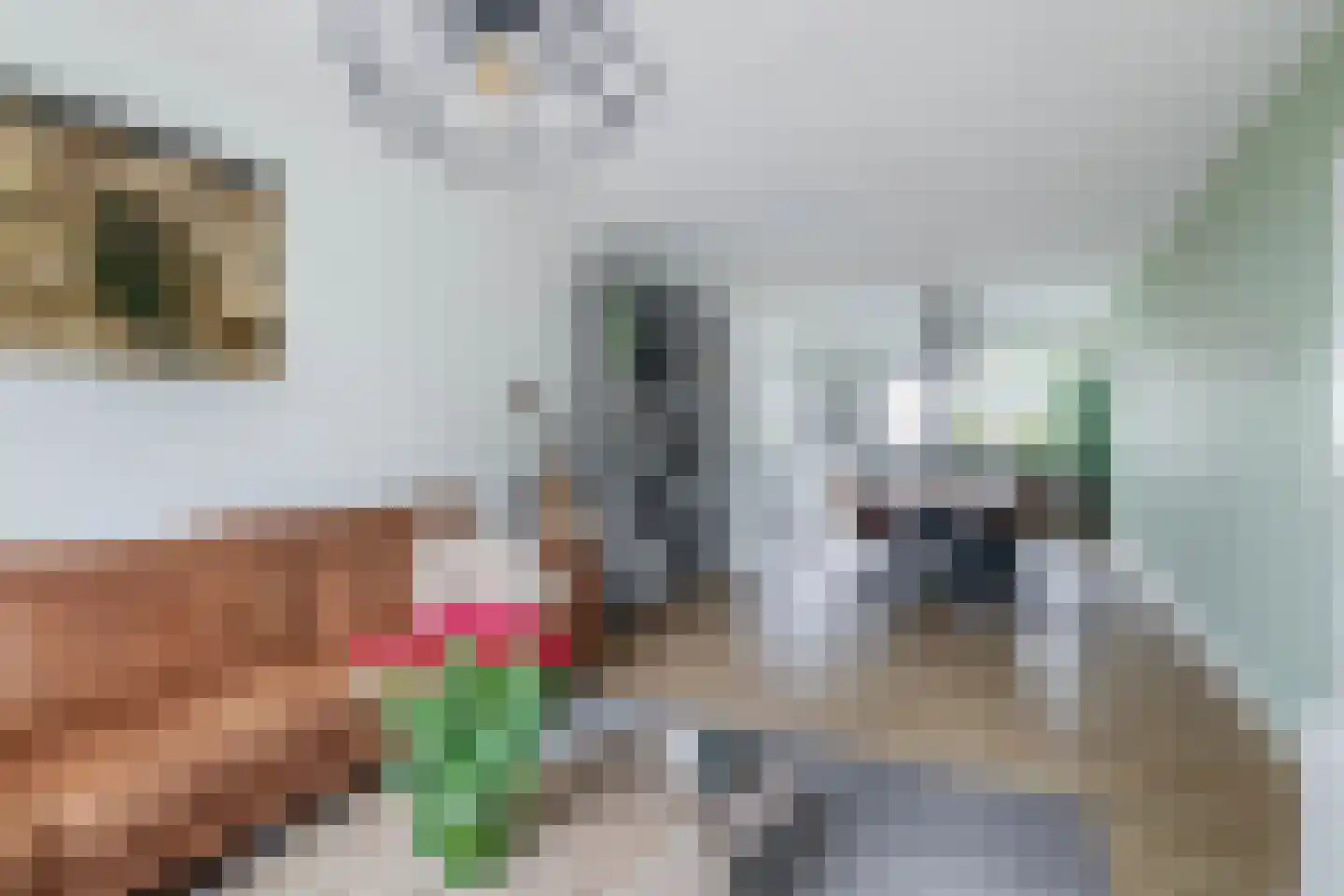 Vosmaerstraat 54 Rotterdam thumbnail 13