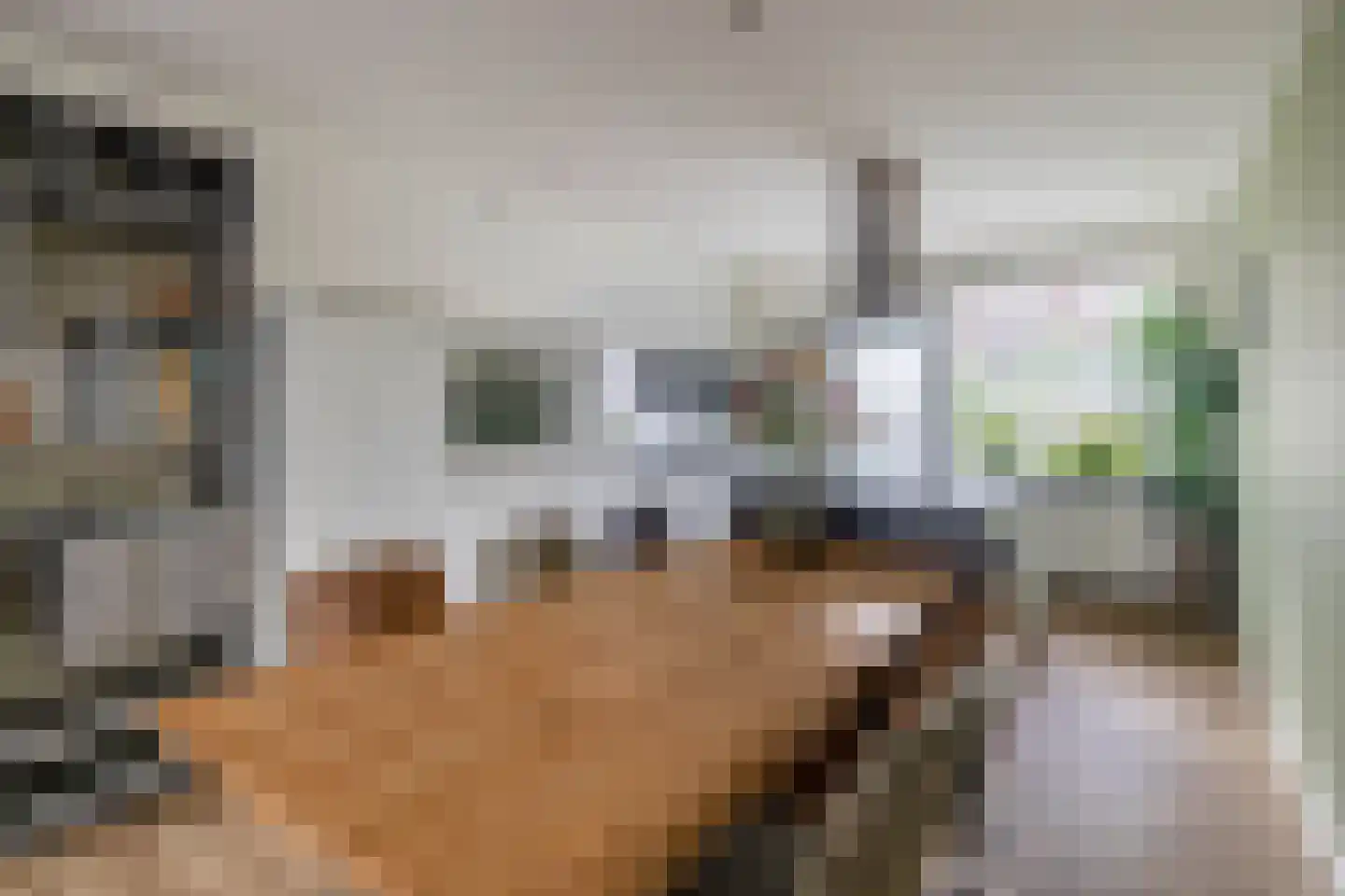Vosmaerstraat 54 Rotterdam thumbnail 17