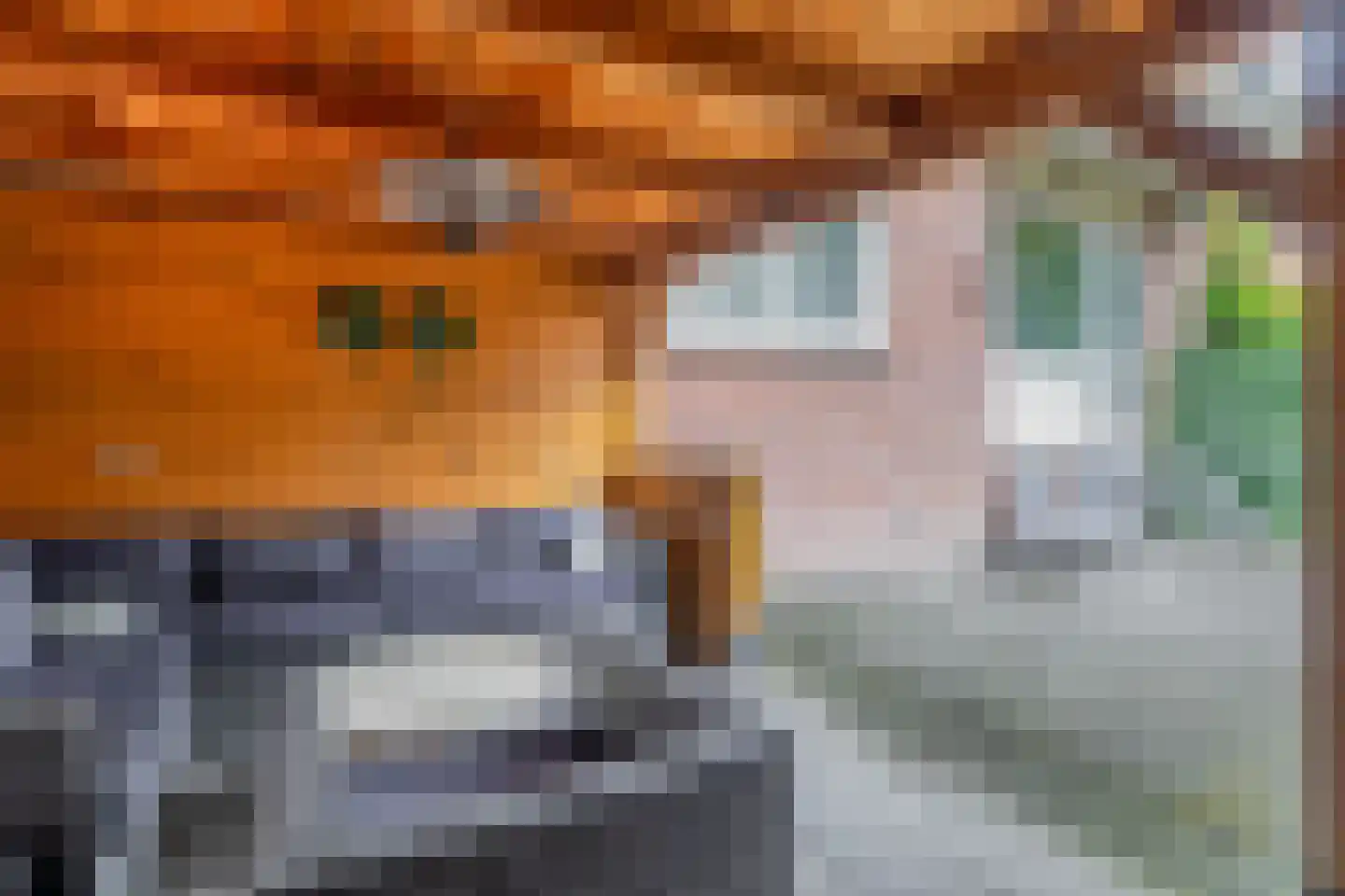 Vosmaerstraat 54 Rotterdam thumbnail 25
