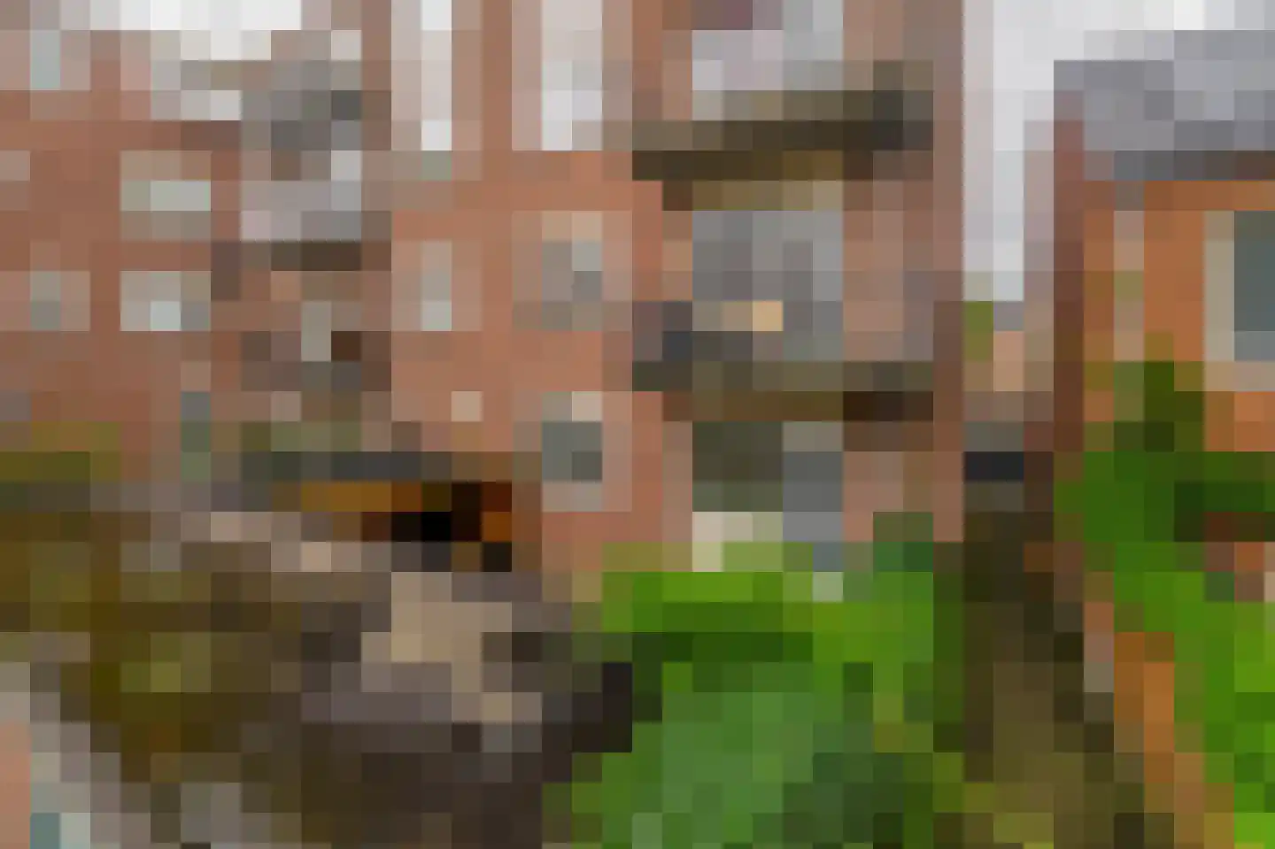 Vosmaerstraat 54 Rotterdam thumbnail 35