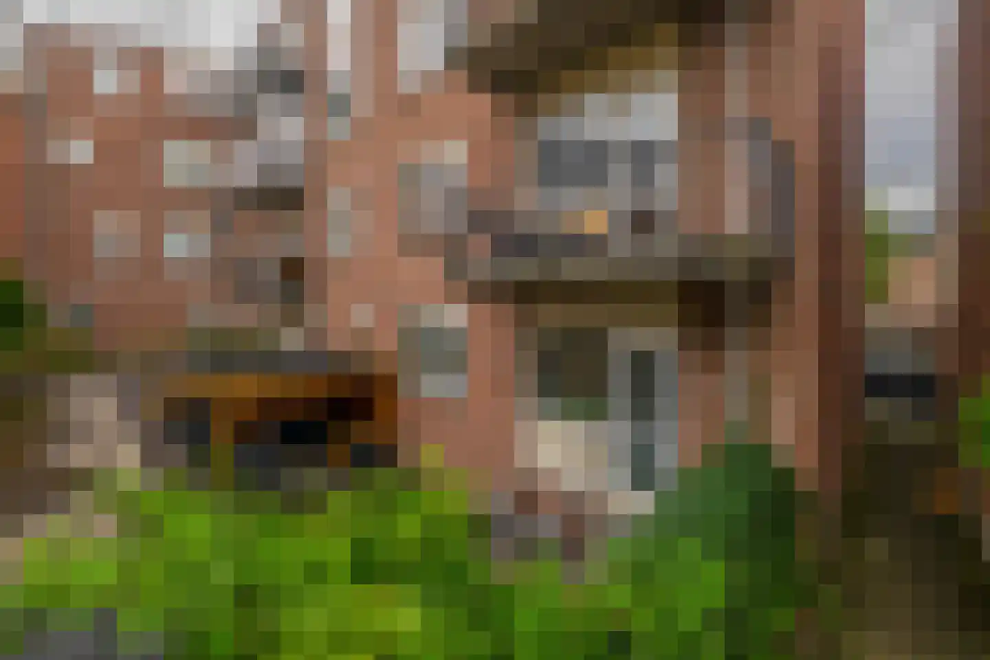 Vosmaerstraat 54 Rotterdam thumbnail 36