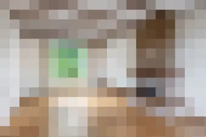Vosmaerstraat 6 Berkel en Rodenrijs thumbnail 11