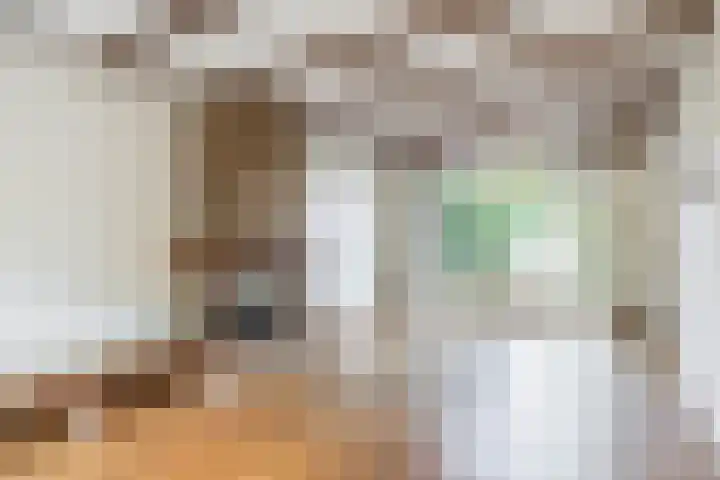Vosmaerstraat 6 Berkel en Rodenrijs thumbnail 13