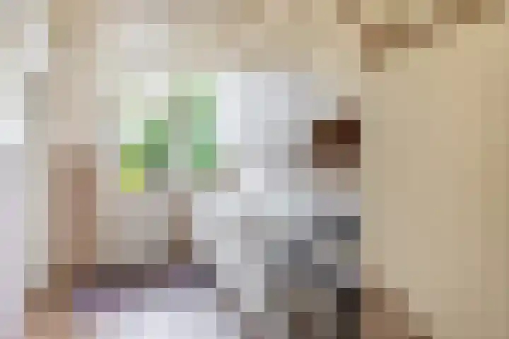 Vosmaerstraat 6 Berkel en Rodenrijs thumbnail 15