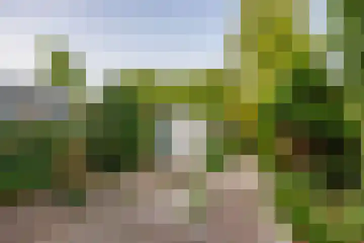 Vosmaerstraat 6 Berkel en Rodenrijs thumbnail 25
