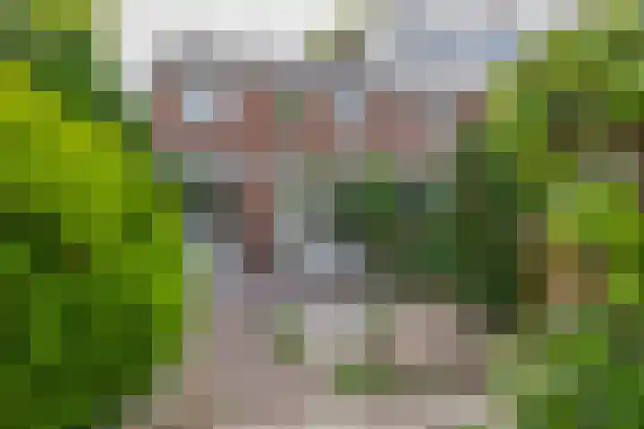 Vosmaerstraat 6 Berkel en Rodenrijs thumbnail 27