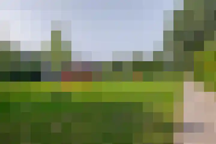 Vosmaerstraat 6 Berkel en Rodenrijs thumbnail 29