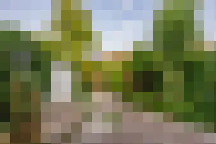 Vosmaerstraat 6 Berkel en Rodenrijs thumbnail 4