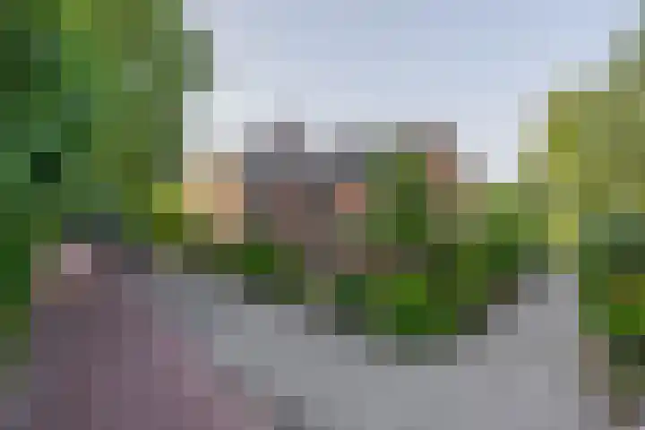 Vosmaerstraat 6 Berkel en Rodenrijs thumbnail 5