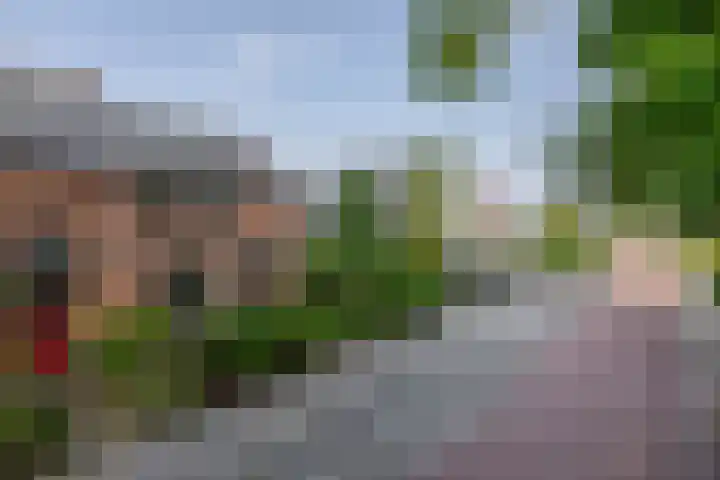 Vosmaerstraat 6 Berkel en Rodenrijs thumbnail 7