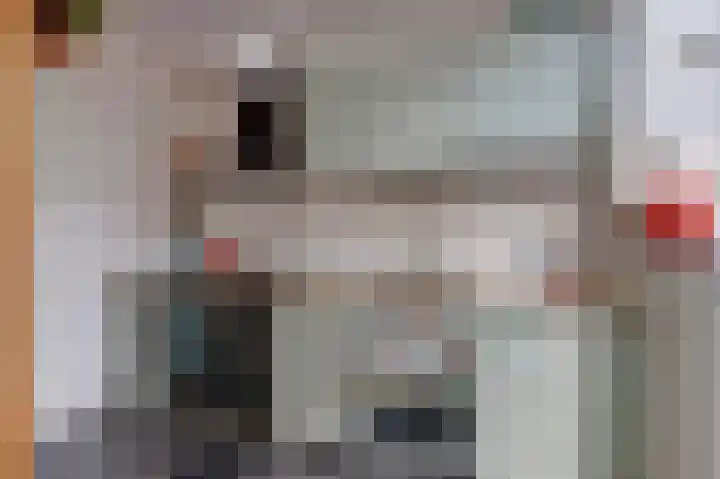 Vosmaerstraat 6 Goes thumbnail 13
