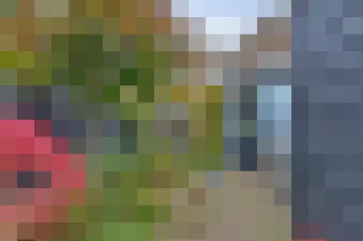 Vosmaerstraat 6 Goes thumbnail 26
