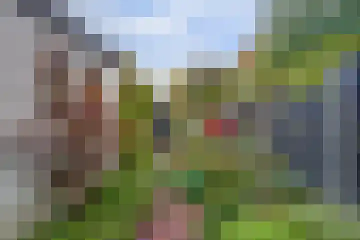 Vosmaerstraat 6 Goes thumbnail 27