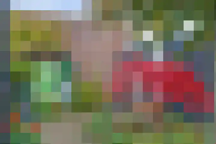 Vosmaerstraat 6 Goes thumbnail 29