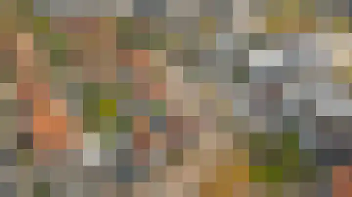 Vosmaerstraat 6 Goes thumbnail 38