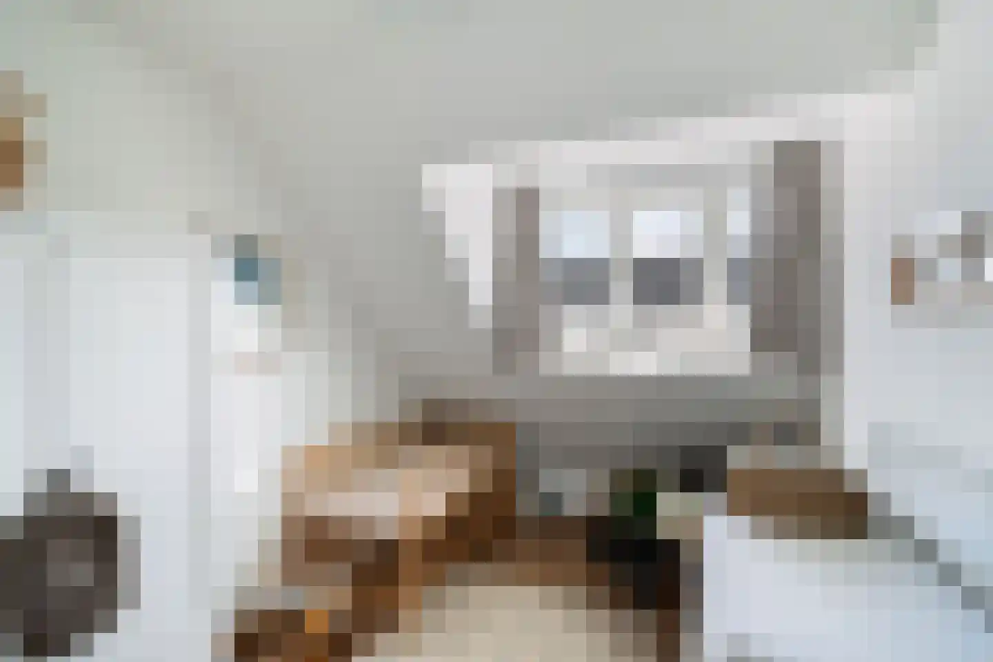 Vosmaerstraat 7 B Rotterdam thumbnail 26