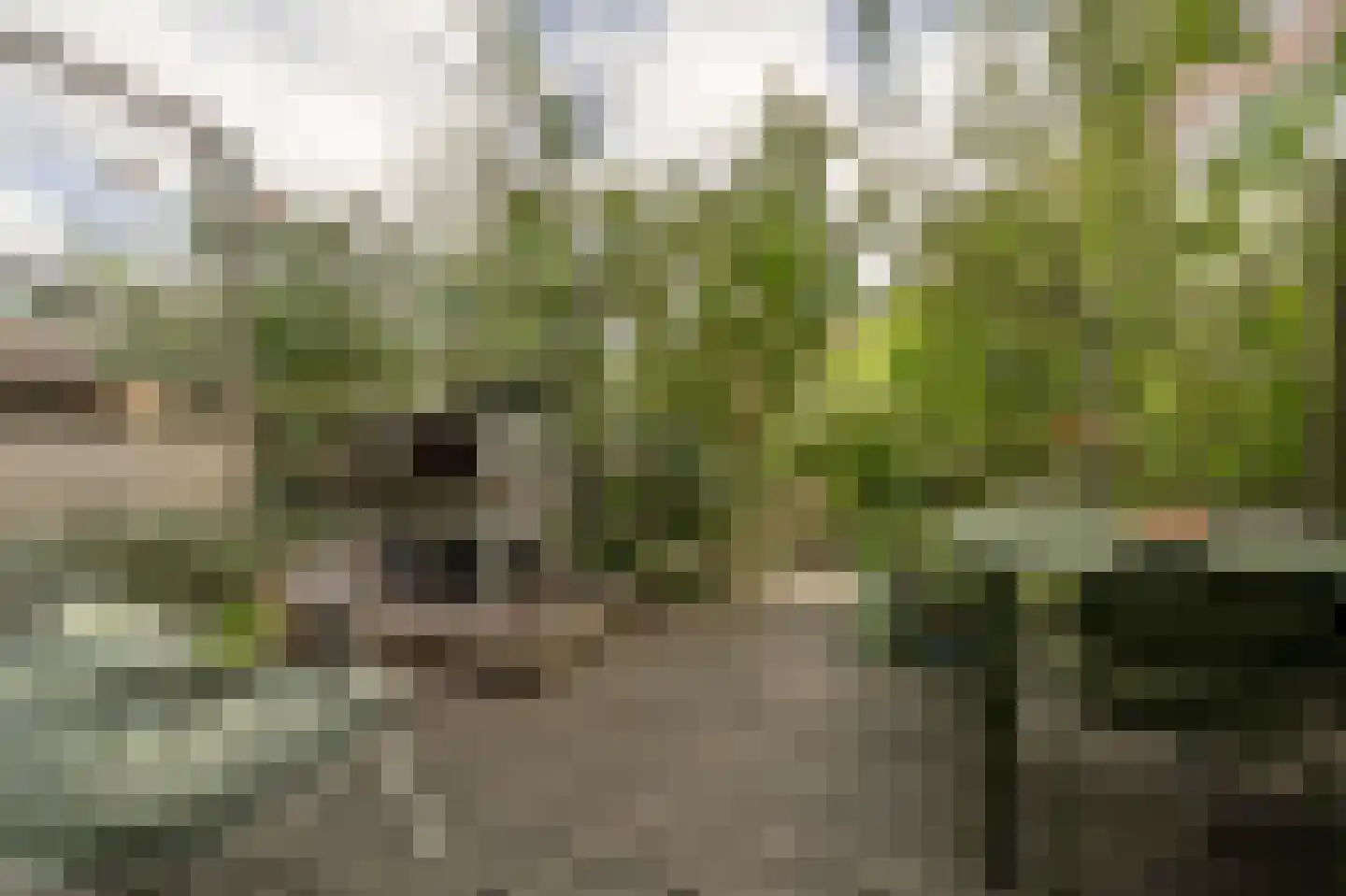 Vosmaerstraat 7 B Rotterdam thumbnail 29