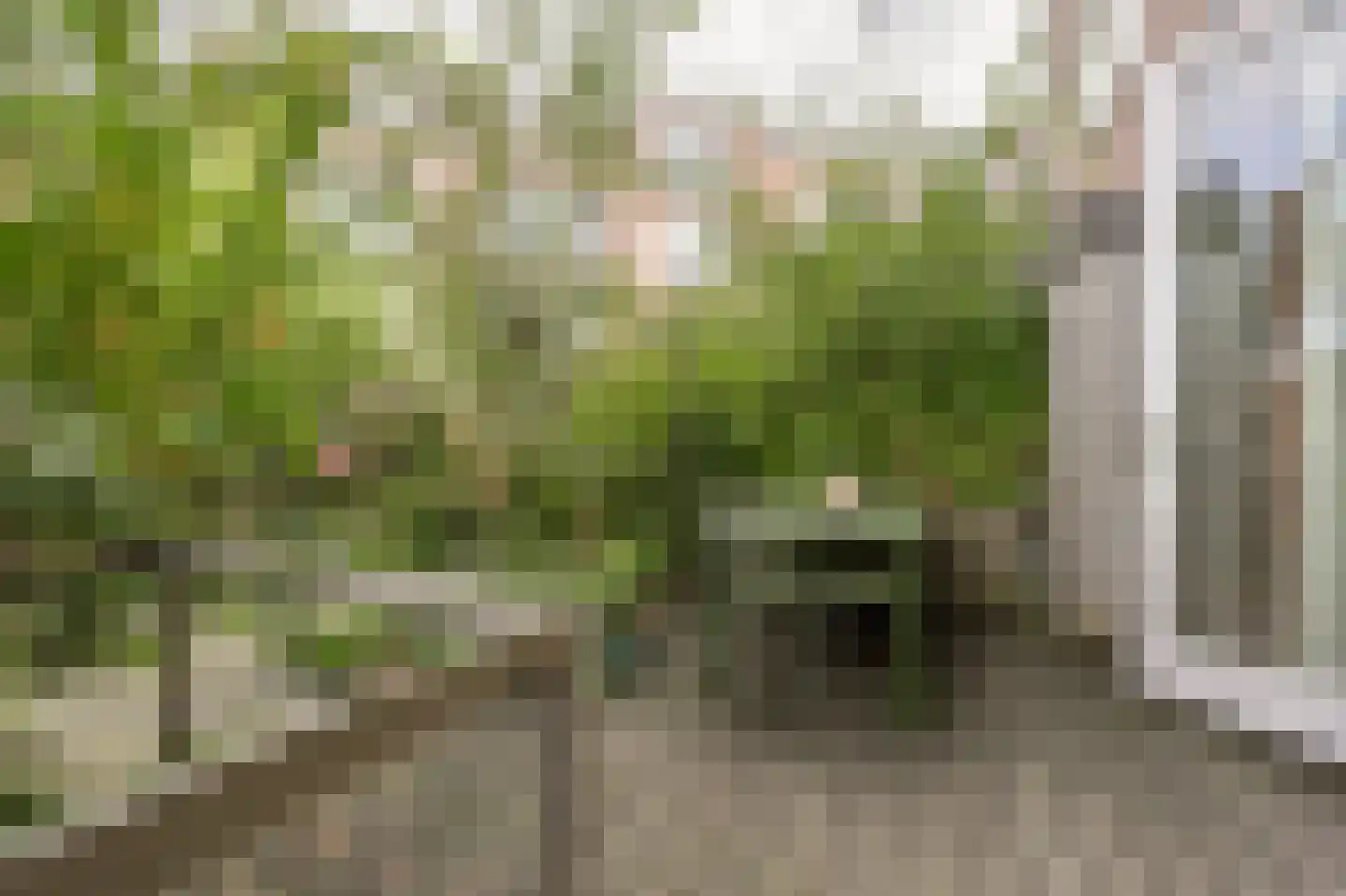 Vosmaerstraat 7 B Rotterdam thumbnail 30