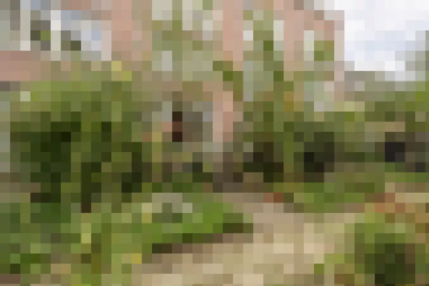 Vosmaerstraat 7 B Rotterdam thumbnail 31