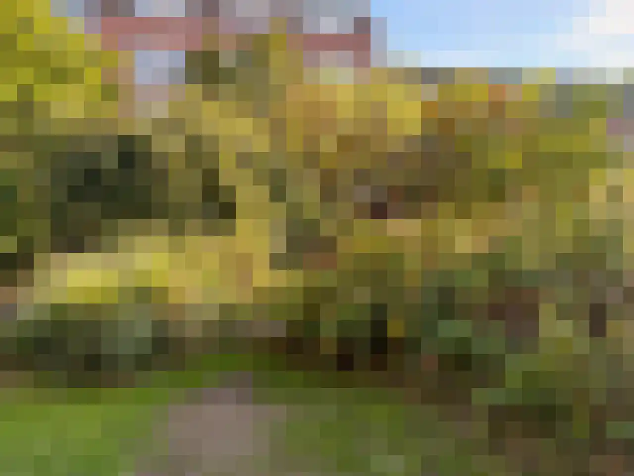 Vosmaerstraat 7 B Rotterdam thumbnail 35